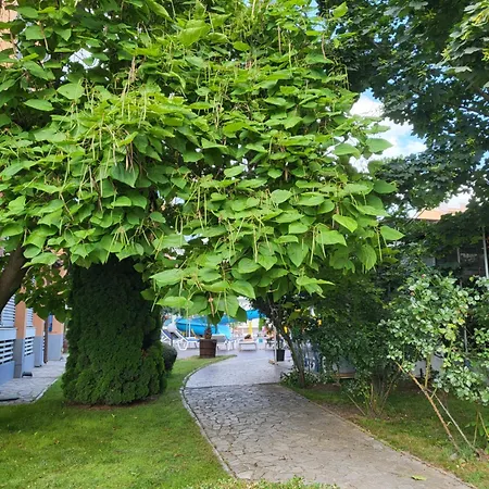 бриджит Appartement *