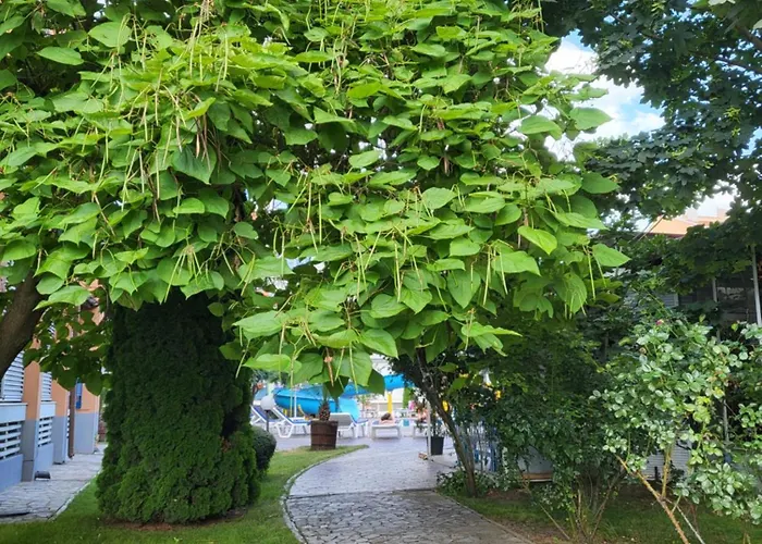 бриджит Appartement *